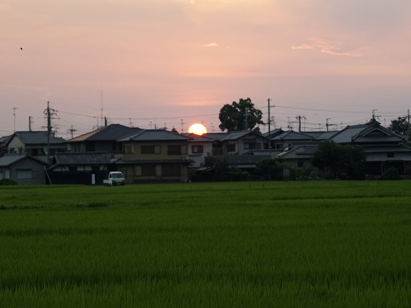 20150808-funato-07ninoirii�F�B�e-���G�K