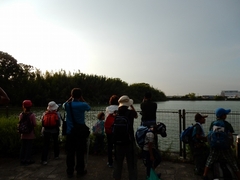 20150808-funato-13tanchoi�F�B�e-��c��q