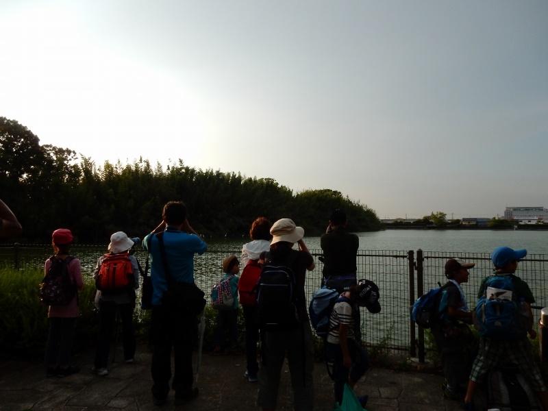 20150808-funato-13tanchoi�F�B�e-��c��q