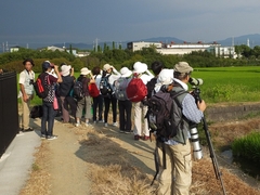 20150808-funato-17-047�F�B�e-�x�����_