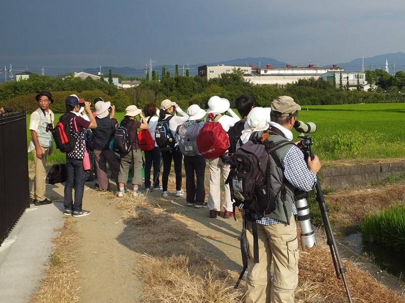 20150808-funato-17-047�F�B�e-�x�����_