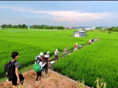 20150808-funato-20-tancho�F�B�e-�R�c�F��