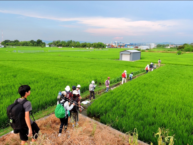 20150808-funato-20-tancho�F�B�e-�R�c�F��