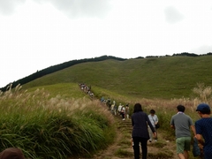 01-20150921-soni-�T�R���߂�����-k