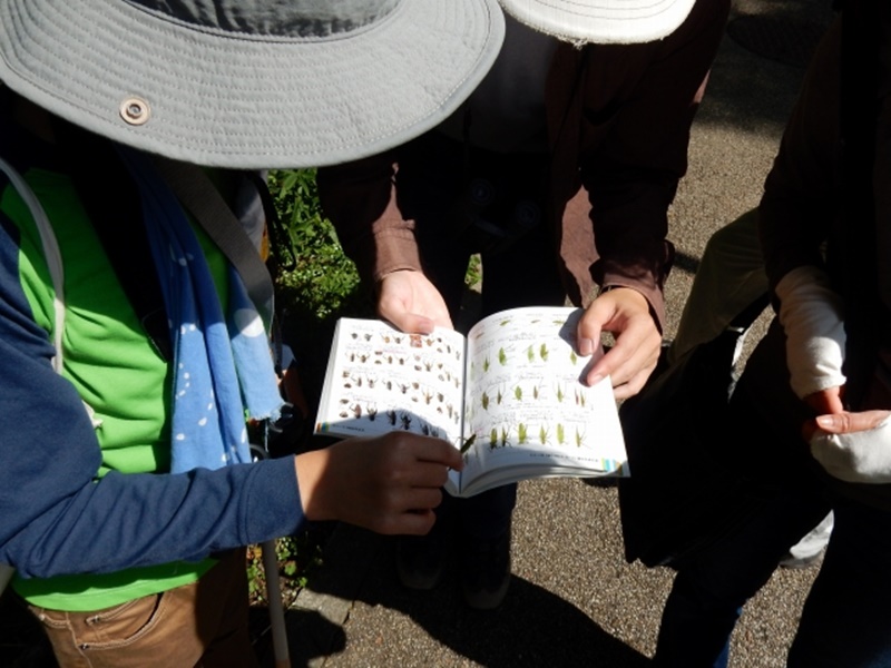 04-20150922-soni-���̊ώ@-k