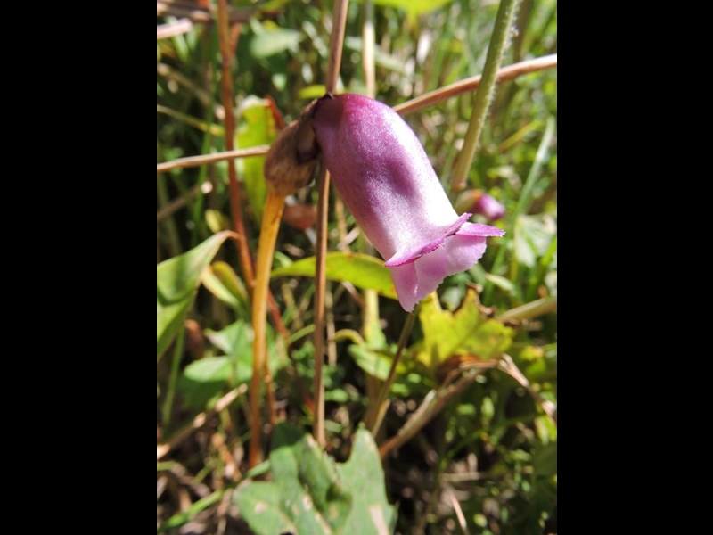 18-20150922-soni-�i���o���M�Z��-y