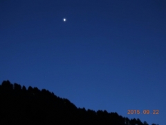 24-20150922-soni-���̋�ɋP�����̖���-h