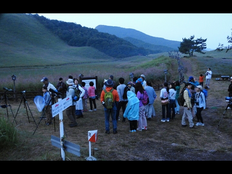 25-20150922-soni-�c�o���̂˂��炽���ώ@-h