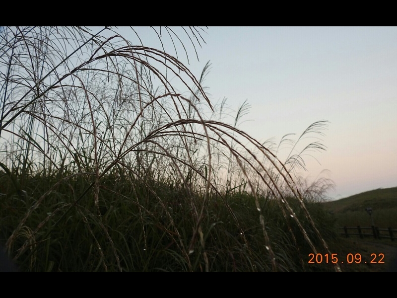 26-20150922-soni-�O�C��14.3�x�@�X�X�L�ɒ��I-h