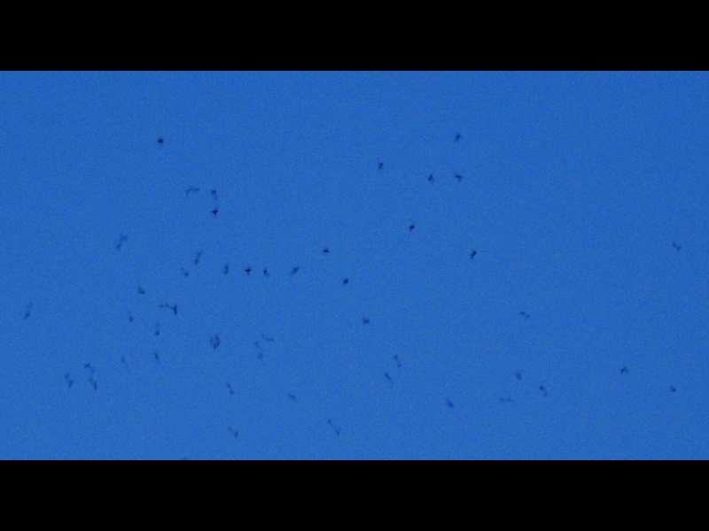 32-20150922-soni-�c�o���̂˂��痧��-h