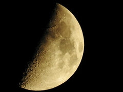 33-20150922-soni-���X�Ə㌷�̌�-h