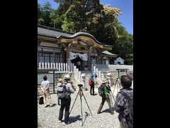 20160505-taishi-05-ma-25kasugajinjya