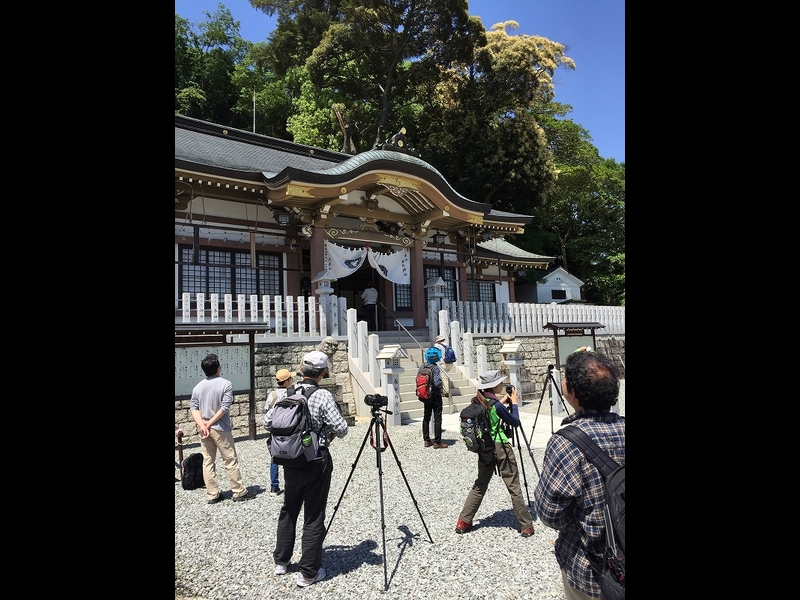 20160505-taishi-05-ma-25kasugajinjya