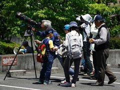 20160505-taishi-27-sp31