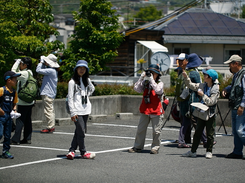 20160505-taishi-29-sp33