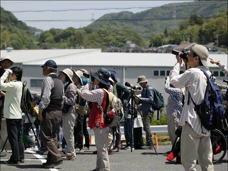 20160505-taishi-30-sp34