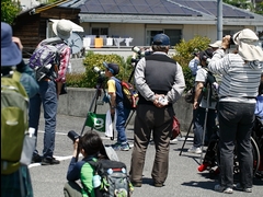 20160505-taishi-31-sp35