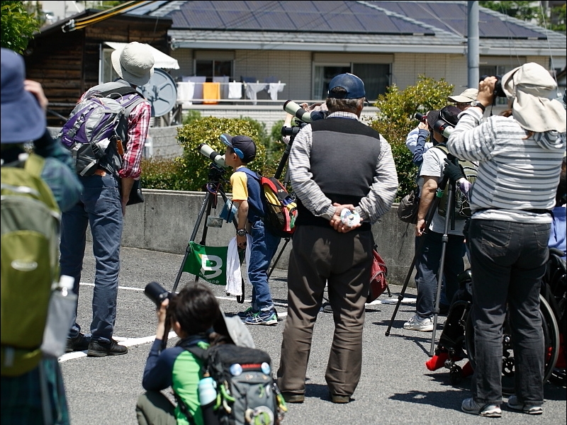 20160505-taishi-31-sp35