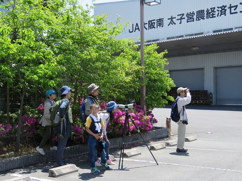 20160505-taishi-37-as05kansatsu