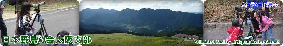 ���{�쒹�̉���x��