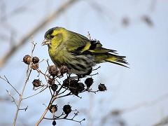 �}�q��-���Βn