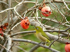 ���W��-���Βn