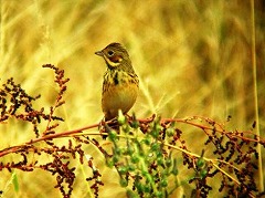 ���R�r�z�E�A�J