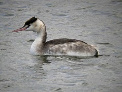 ���R�r�J�������J�C�c�u��