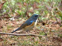 �����r�^�L