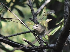 �L�N�C�^�_�L