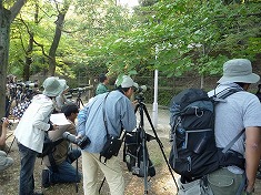 �T�����i�B