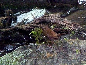 �~�\�T�U�C�F��삳��B�e