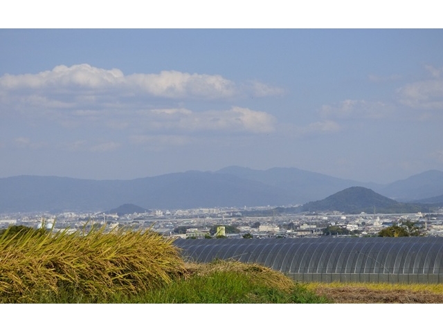 20141019-katsuragiji-16yamatosanzan-P1200499