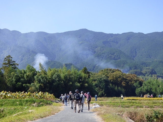 20141019-katsuragiji-24P1200386