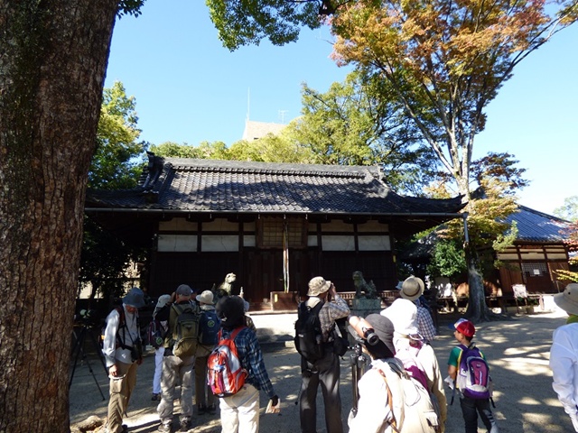 20141019-katsuragiji-29P1200338