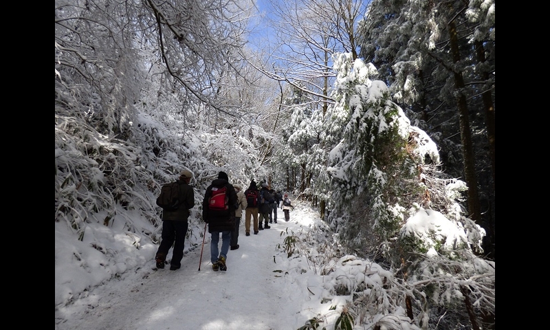 2014年12月07日-金剛山-アイゼン装着の探鳥会-杉本マサ子