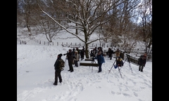 20141207-kongosan-016-kansatsufukei