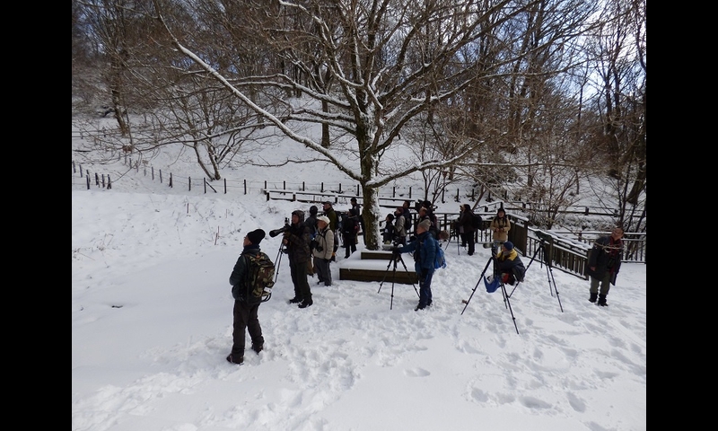 2014年12月07日-金剛山-観察風景-杉本マサ子