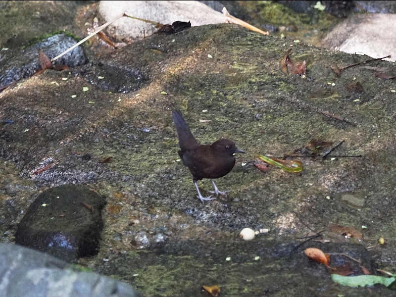 20150926-asuka-07�J���K���X