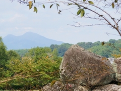 20150926-asuka-08�C�V�u�^�C