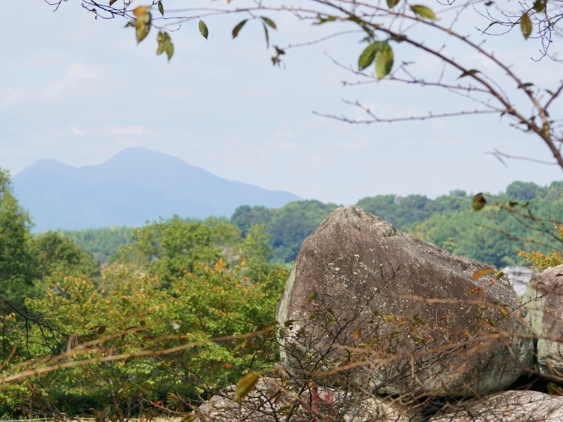 20150926-asuka-08�C�V�u�^�C