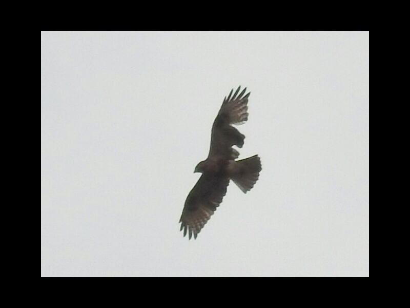 IMG_20150926_201243�|�m�X��