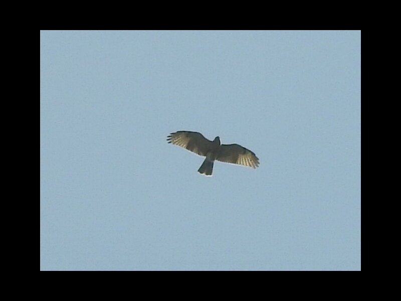 IMG_20150926_201344-�m�X��