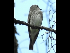 RSCN0874-1-�G�]�r�^�L