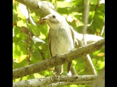 RSCN0879-1-�R�T���r�^�L