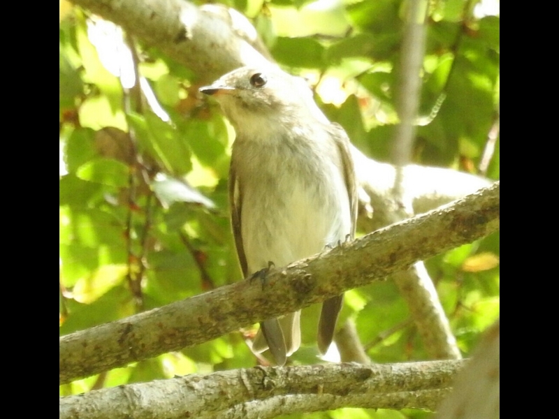 RSCN0879-1-�R�T���r�^�L