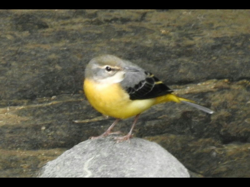 RSCN0909-1-�L�Z�L���C