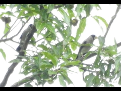 RSCN0928-1-�C�J��