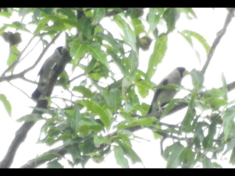 RSCN0928-1-�C�J��