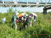 �^�R�m�A�V���ώ@